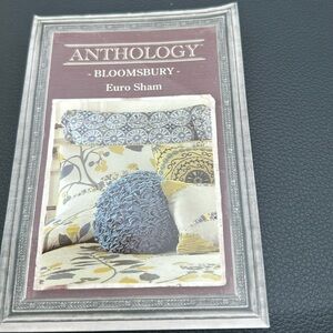 Anthology “Bloomsbury” pillows and pillow shams all like new.